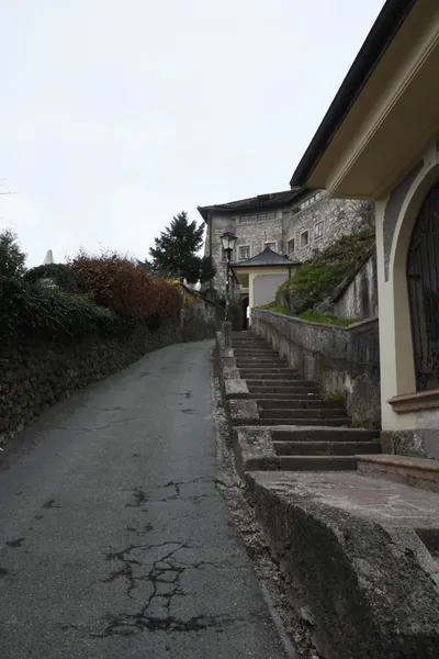 DSC_7006 (Large).JPG